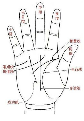 通过手相婚姻线看你结婚时间早晚