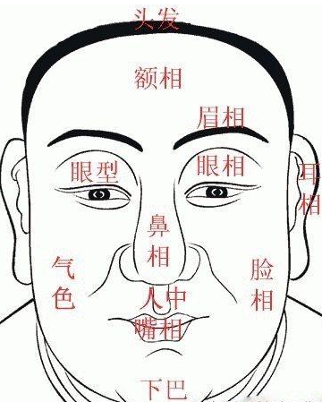 面相带仓带库的人,一生财富有余