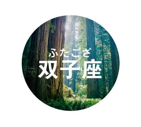 12星座2017年04月桃花运势