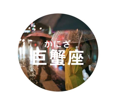 12星座2017年04月桃花运势