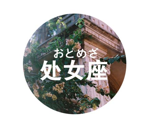 12星座2017年04月桃花运势