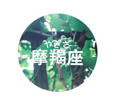 12星座2017年04月桃花运势