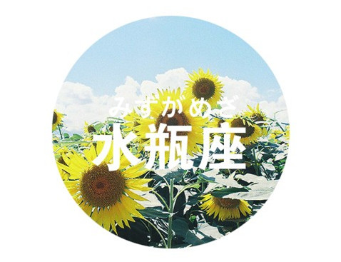 12星座2017年04月桃花运势