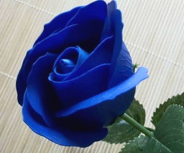 心理测试:四朵玫瑰花,哪朵最吸引你?测出今年会有多少人追你