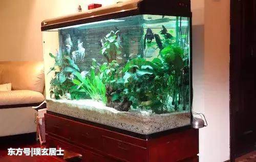 家里摆放这些风水物件,能招财旺运势