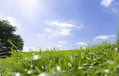 12月一到,“大喜”降家中,横财喜事不间断,可算熬出头的生肖