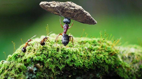 12月一到,“大喜”降家中,横财喜事不间断,可算熬出头的生肖