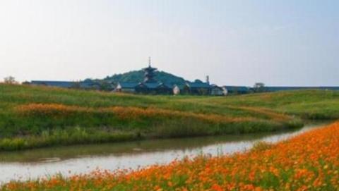 趣味测试：四片花海你更喜欢哪一个？测一测你的运势有多好