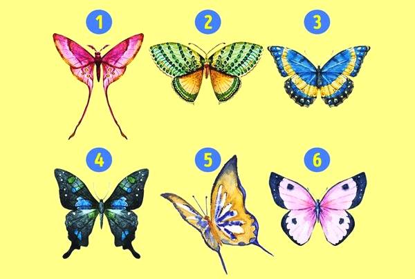 选择你喜欢的蝴蝶，测出你潜意识里积极的一面