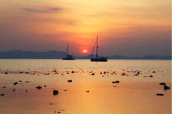 选择你喜欢的蝴蝶，测出你潜意识里积极的一面