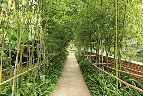 博经堂:家居风水,室内风水最适合摆放什么植物?