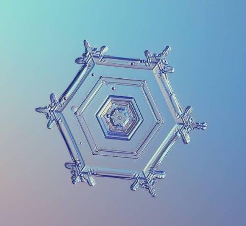 心理测试:4个冰花,哪个最吸引你?测测你的自恋程度有多高!
