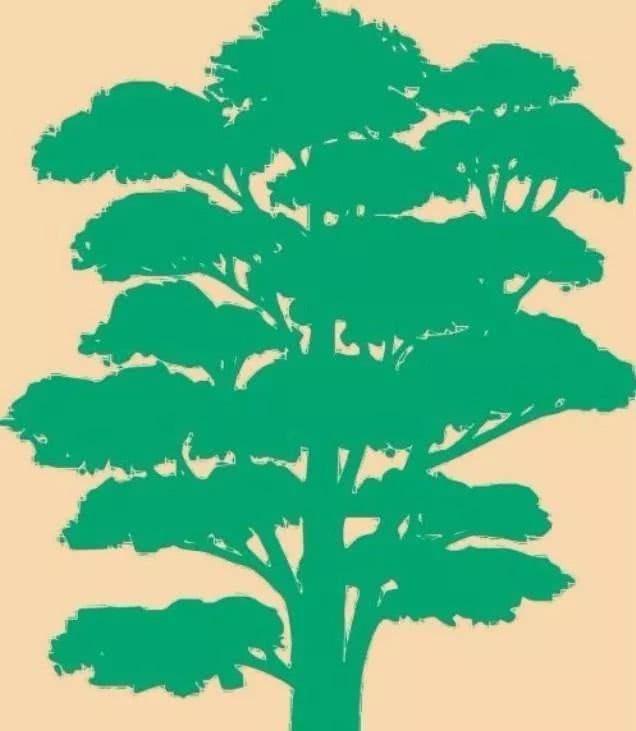 心理测试:选择一棵招财树,测试你下个月的意外之财有多大