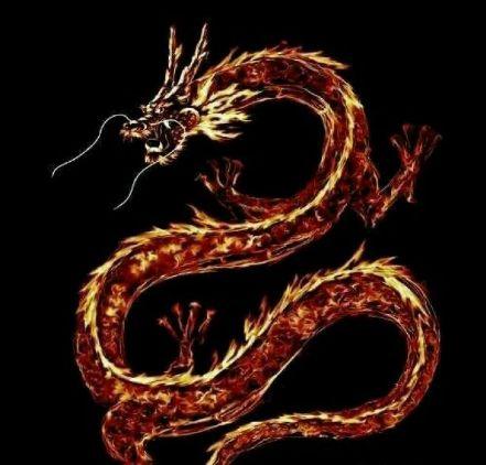 心理测试:你认为哪条龙最霸气?测你还有没有机会飞黄腾达!