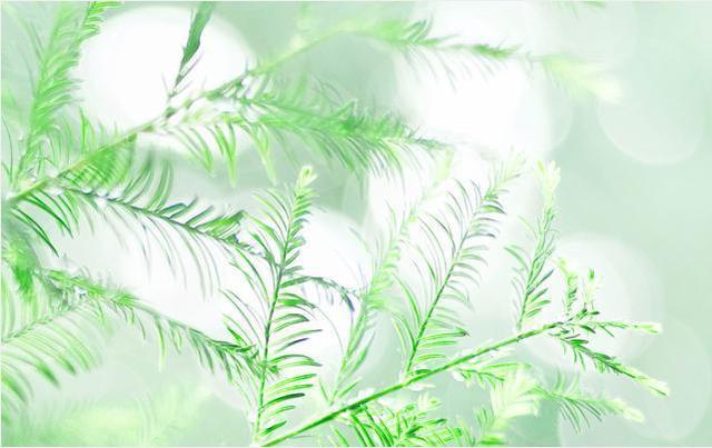 星座：年龄越大桃花越好的三大星座！