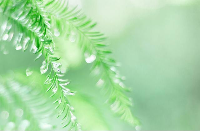 星座：年龄越大桃花越好的三大星座！