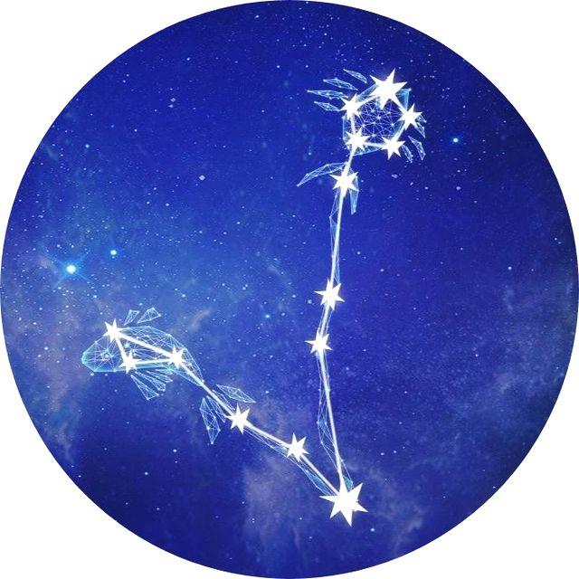 唐诗中的12星座,你是哪首诗?